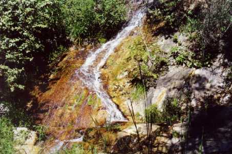 Cederberg mineral springs