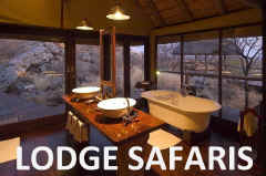  affordable mid-range lodge safaris.